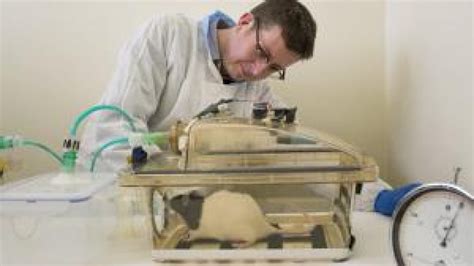 euthanasia for laboratory rodents